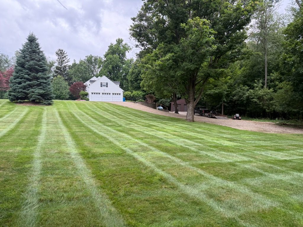 Freshly mowed lawn with striped pattern