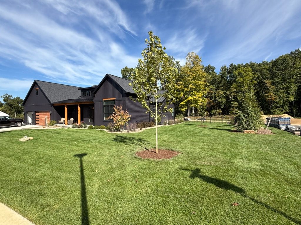 Full, established lawn with new tree