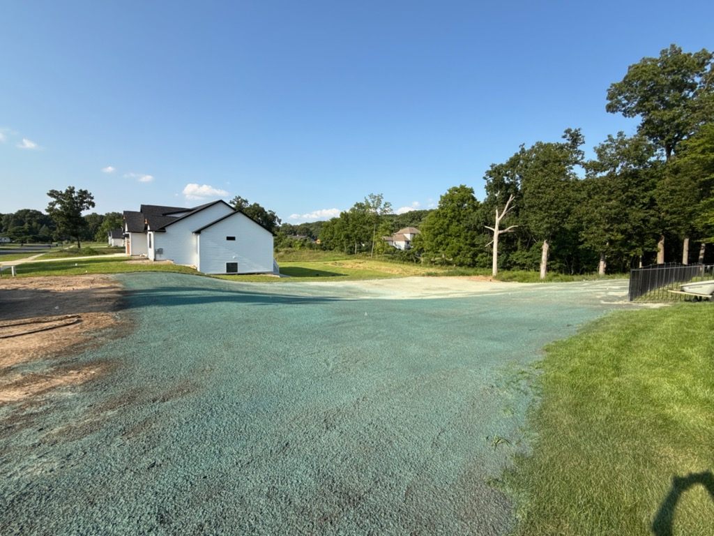 Established rear lawn