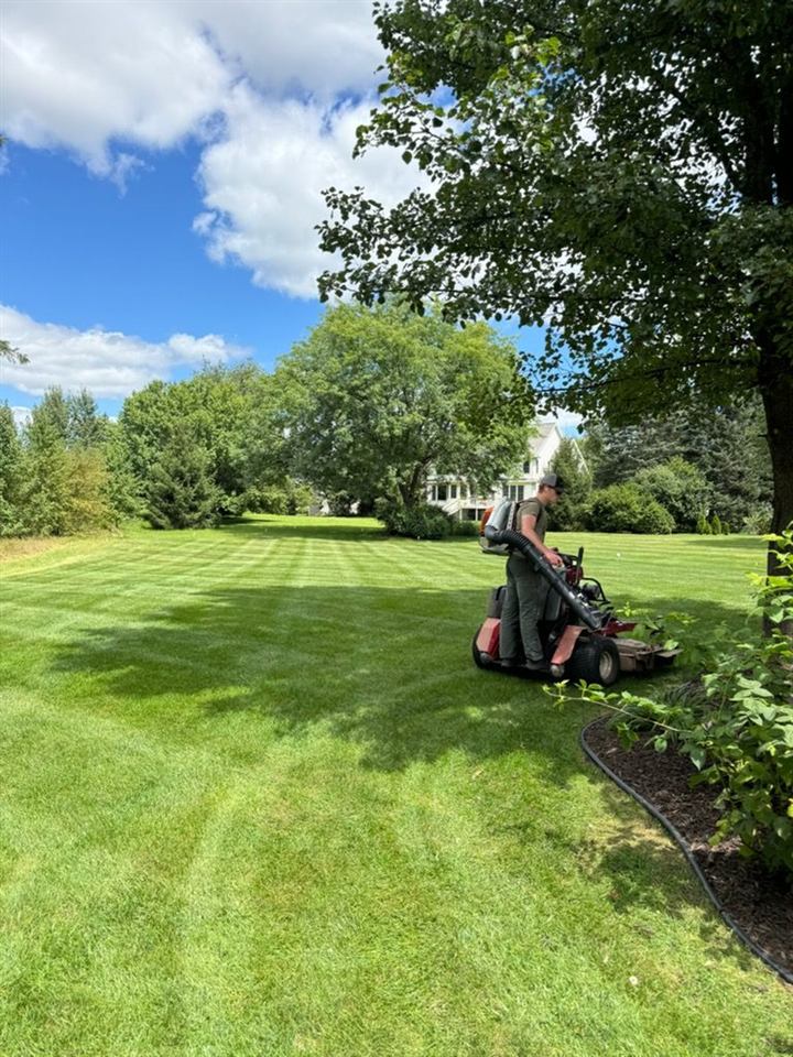 Trimming along a lawn edge