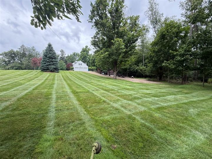 Freshly striped lawn