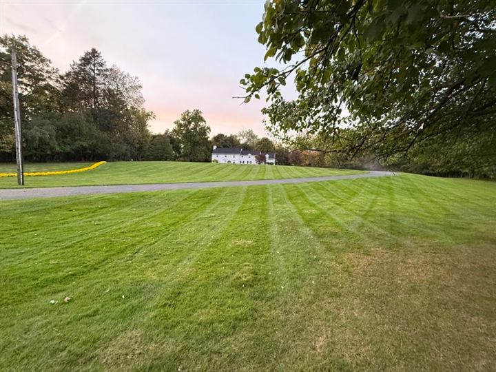 Striped lawn at dusk