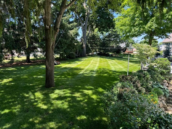 Shaded backyard lawn freshly mowed in stripes