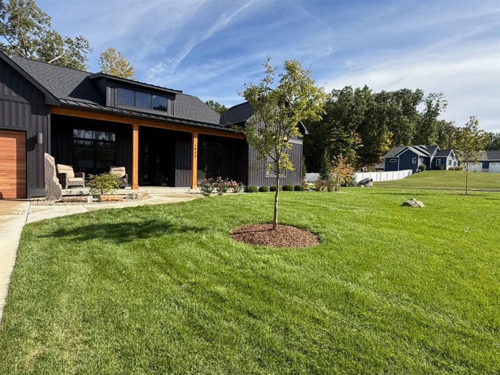 Finished lawn, walkway, and new tree planting